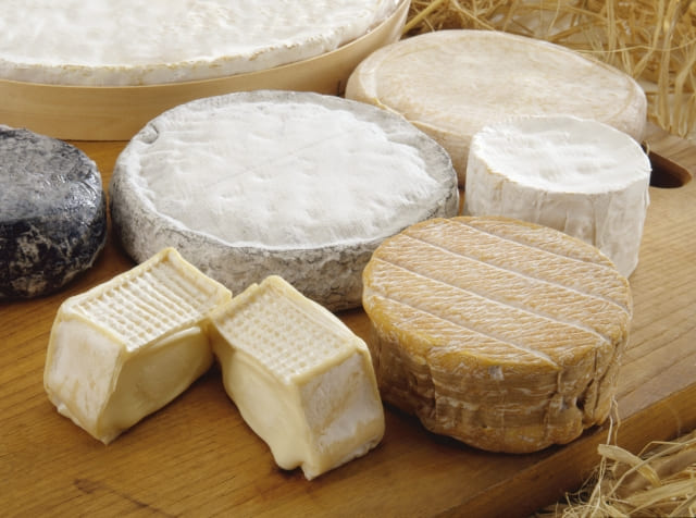 チーズの画像