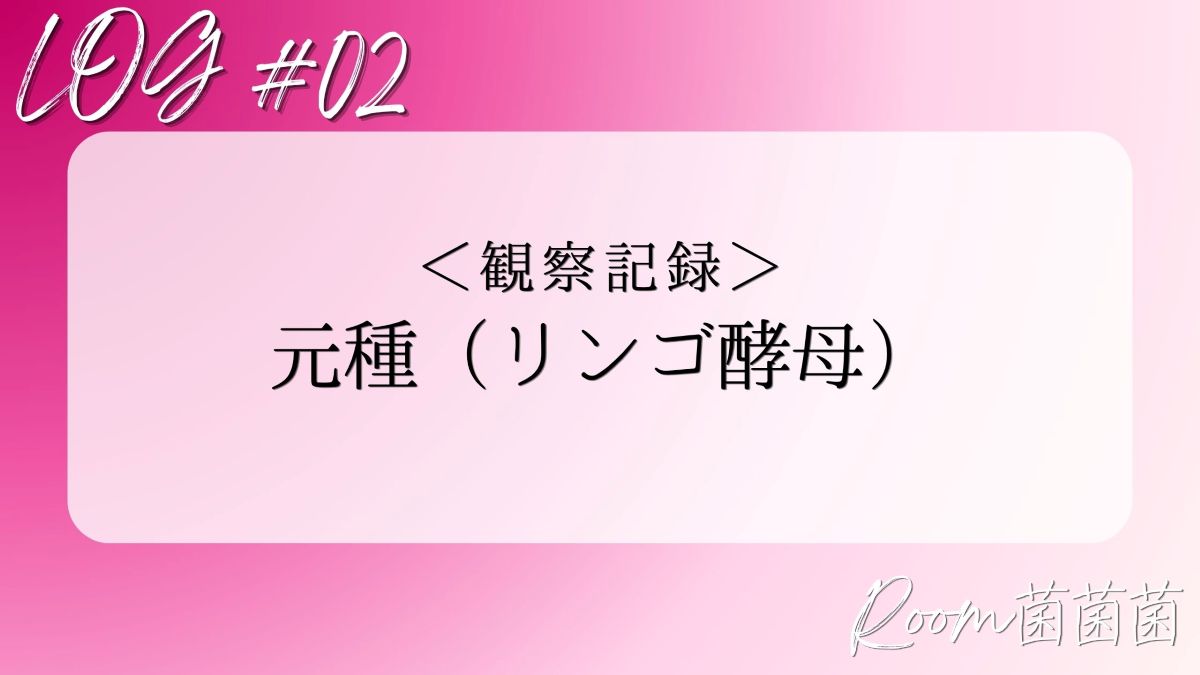 Log2　アイキャッチ