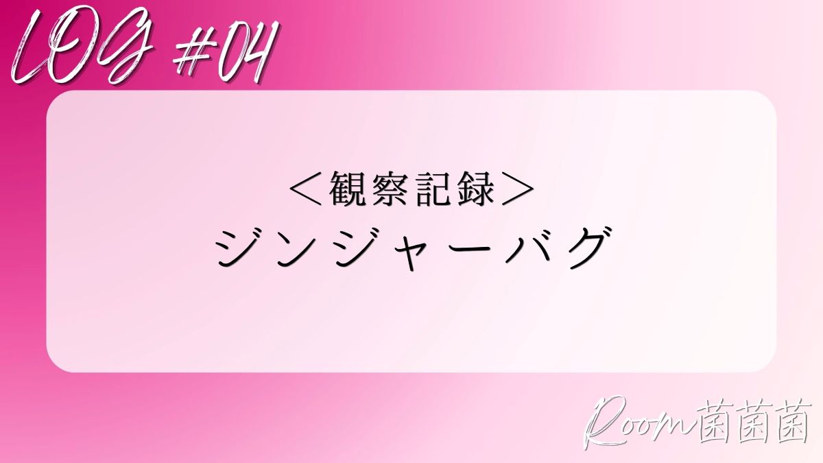 ログ04　アイキャッチ