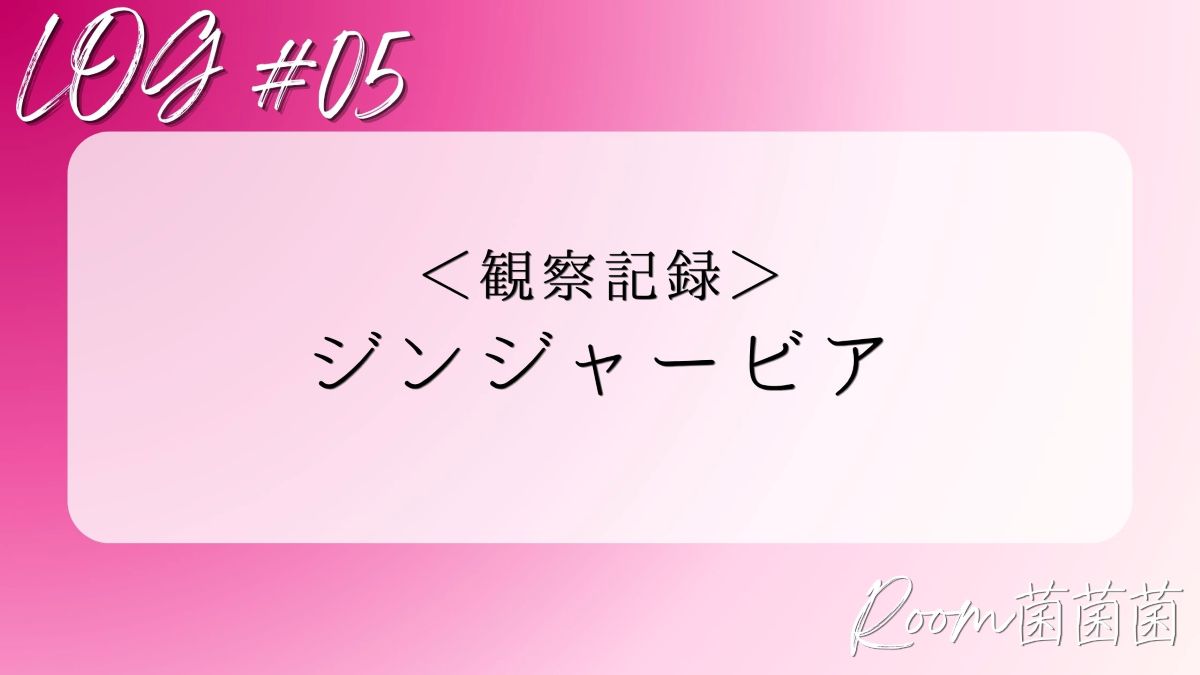 ログ05　アイキャッチ