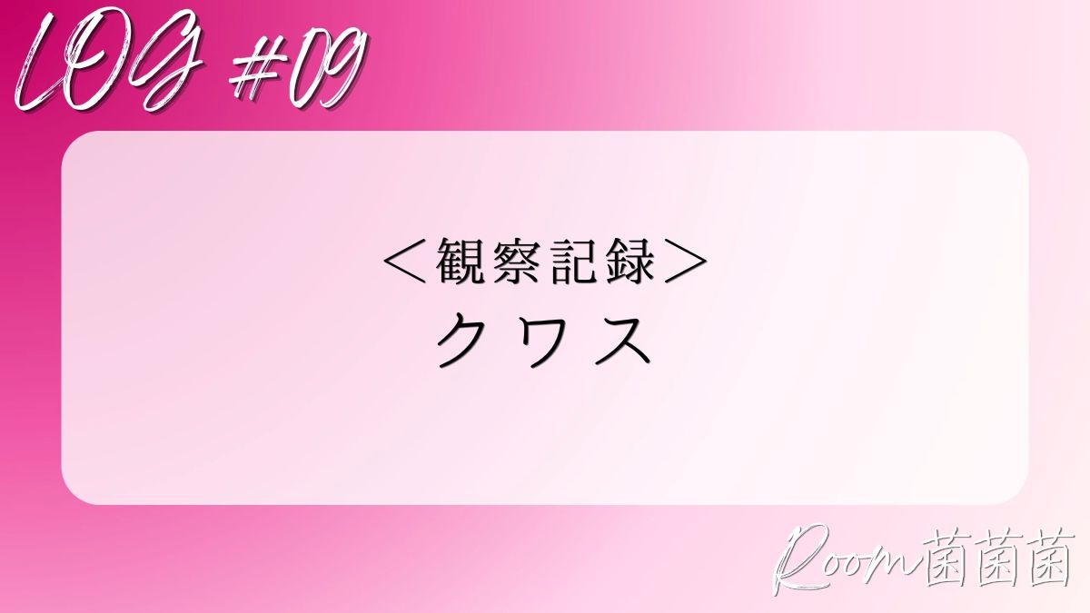 アイキャッチ　観察記録09