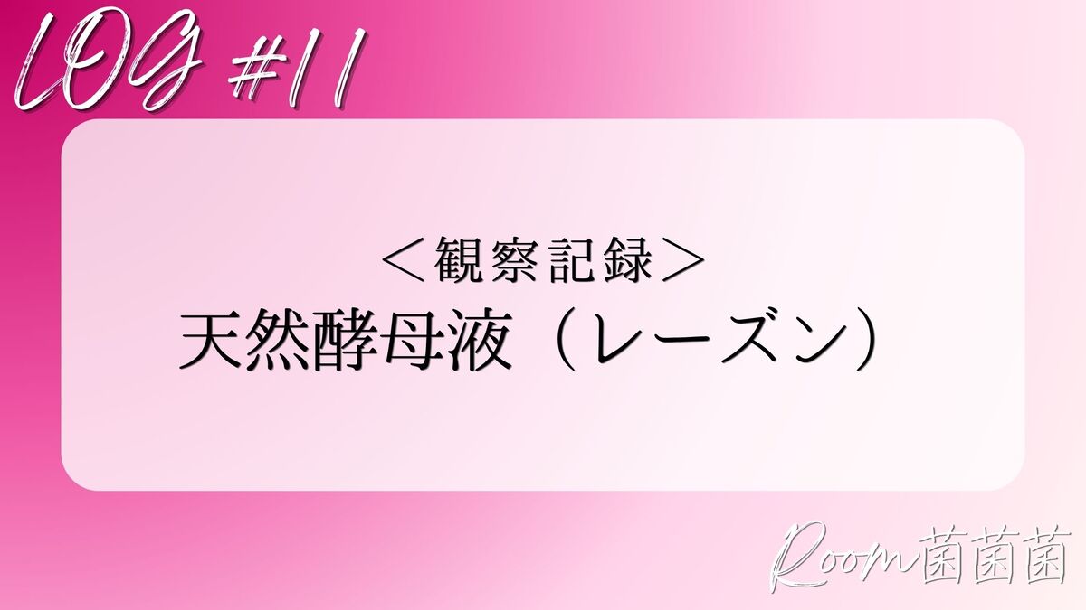 アイキャッチ　観察記録11
